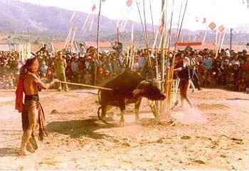 Ритуал закалывания буйвола народности Бана - ảnh 1